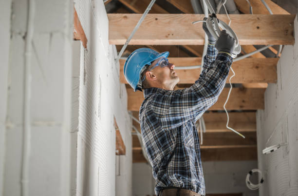 Best Electric Panel Repair  in Arlington Heights, IL